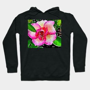 Little garden rose with dew drops Hoodie